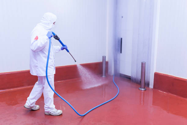 Best Driveway Pressure Washing  in Stro Valley, CA